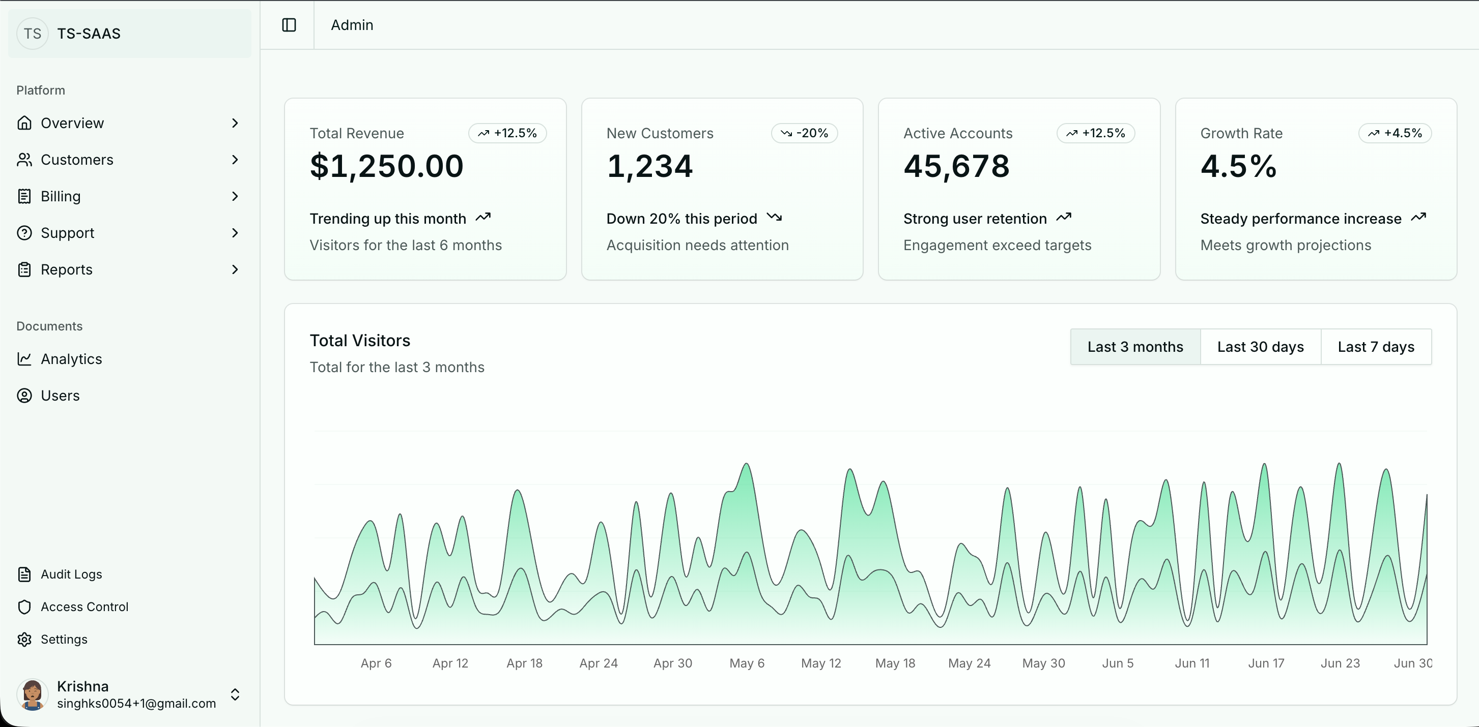 TS SAAS screenshot 1